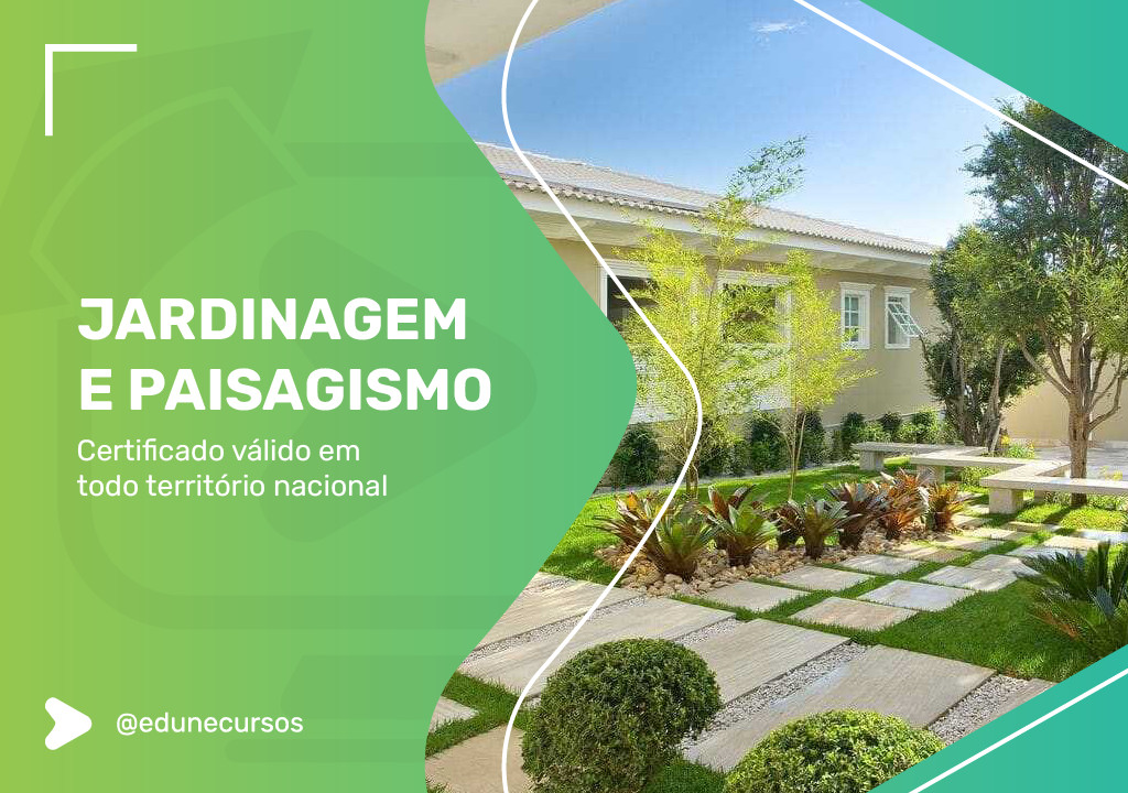 5 Dicas Essenciais para Iniciantes em Jardinagem