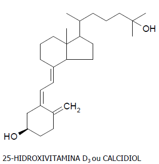 vitamina D 25 hidróxi