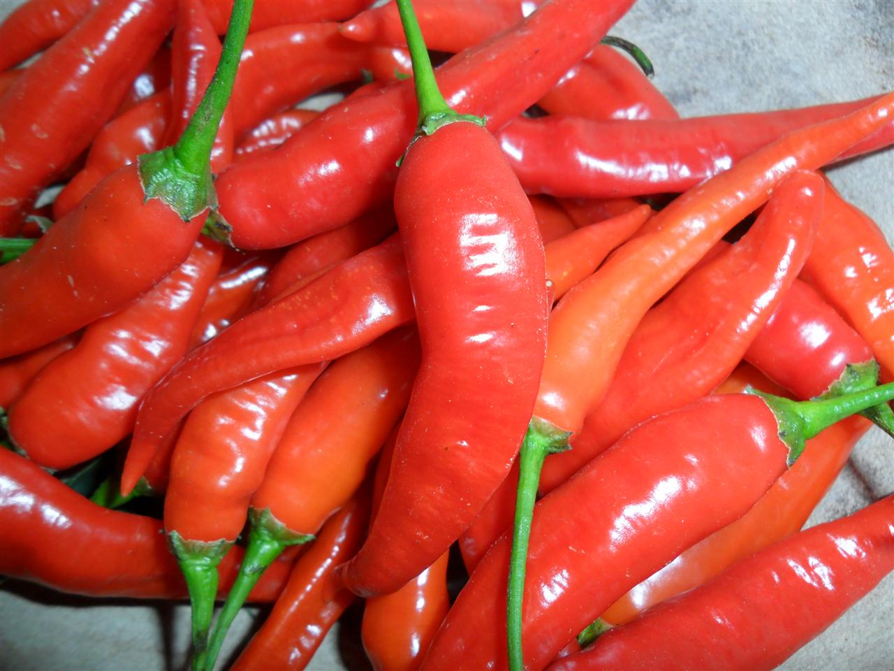 história da pimenta