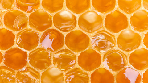 engenharia de materiais honeycomb