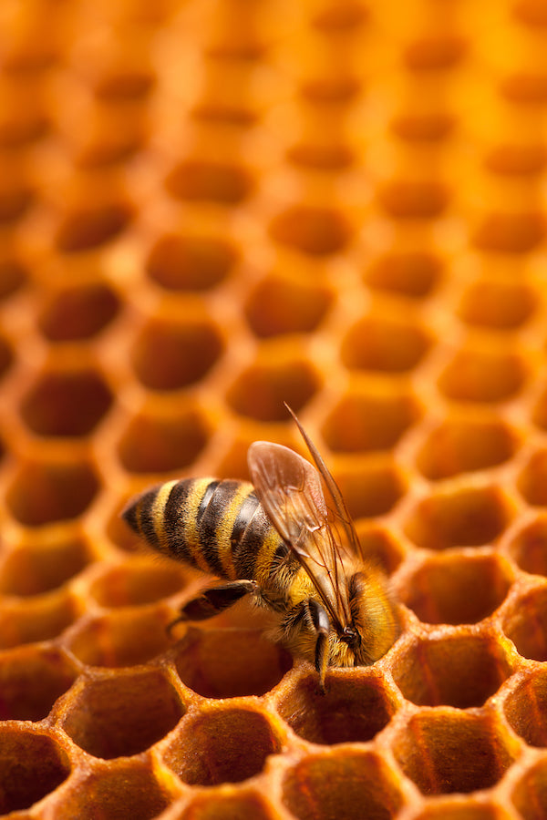 estrutura hexagonal