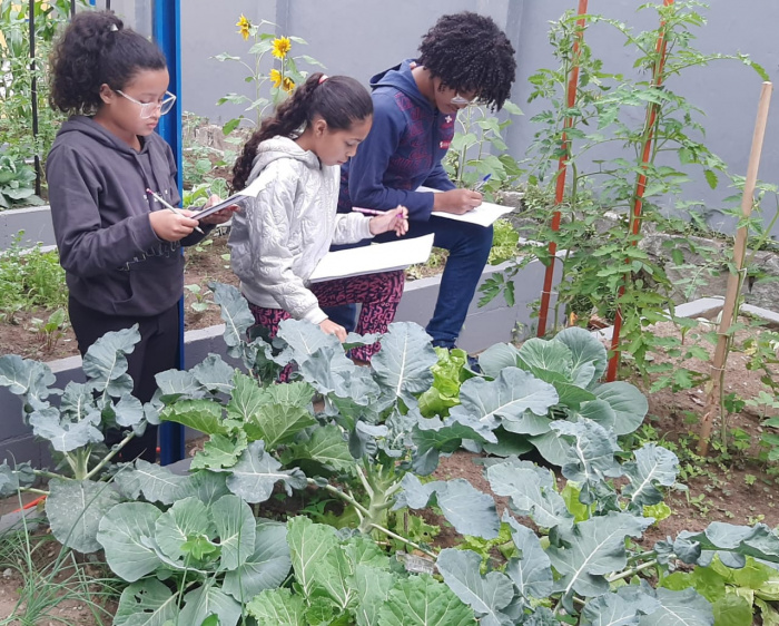 Atividades lúdicas para horta escolar na educação infantil