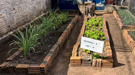 Benefícios da compostagem em hortas escolares