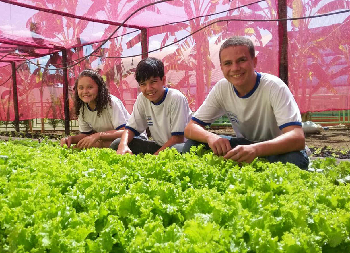 Integração da horta escolar com o currículo da BNCC