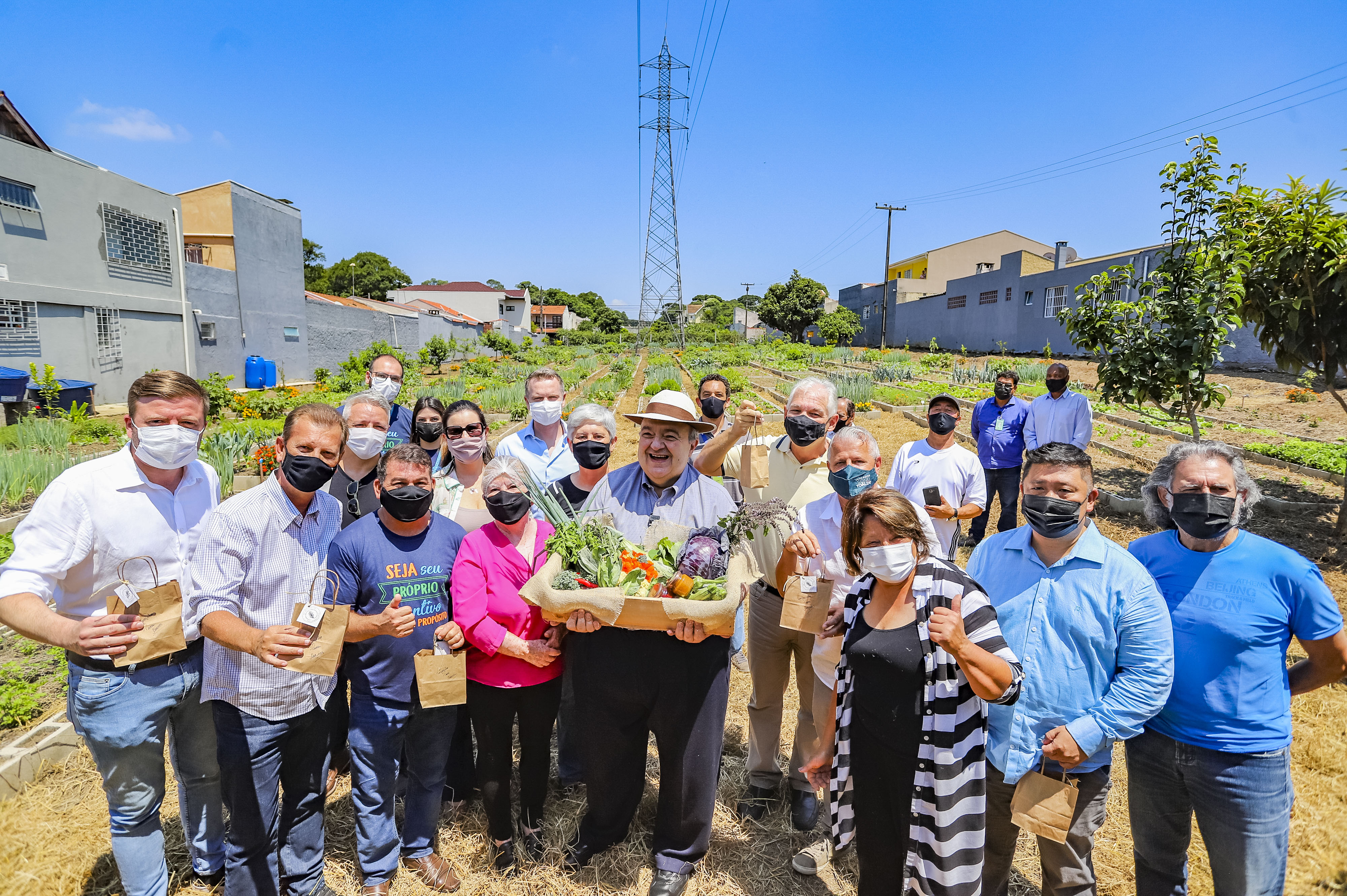 Ideias Criativas de Decoração com Vasos para sua Horta