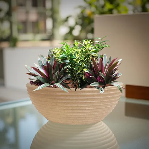 Ideias Criativas de Decoração com Vasos para sua Horta