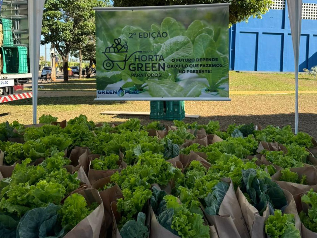 Guia Completo de Presentes Sustentáveis para Amantes da Natureza