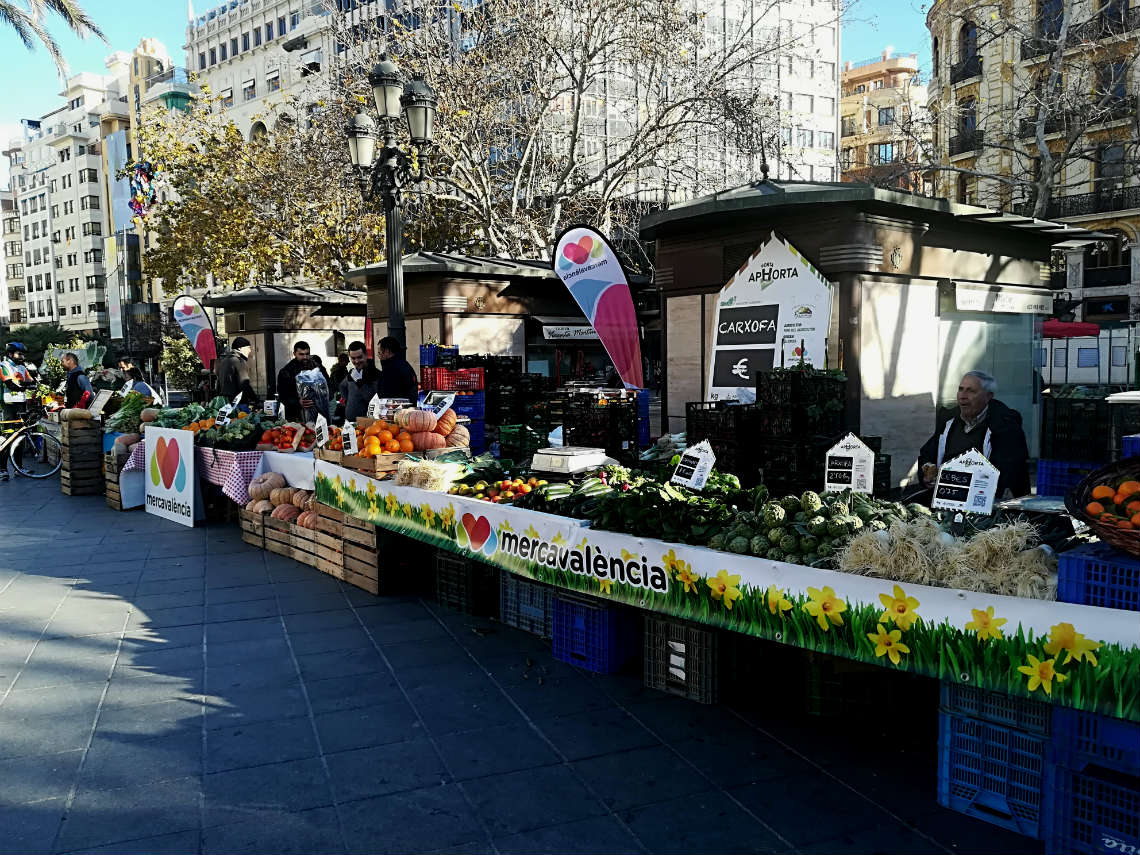 Como Montar uma Mini Horta na Caixa Passo a Passo
