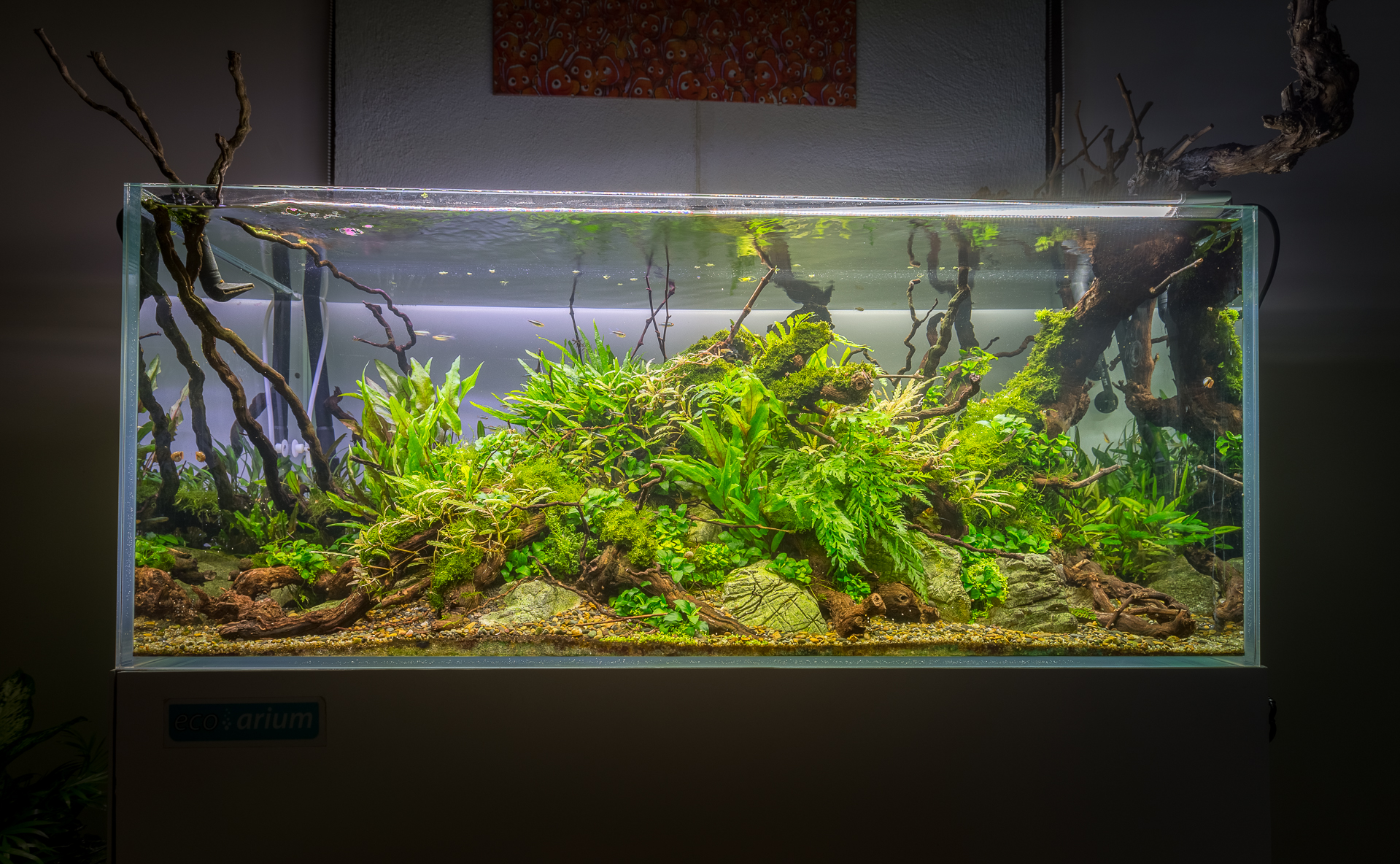 Benefícios do cultivo hidropônico em casa