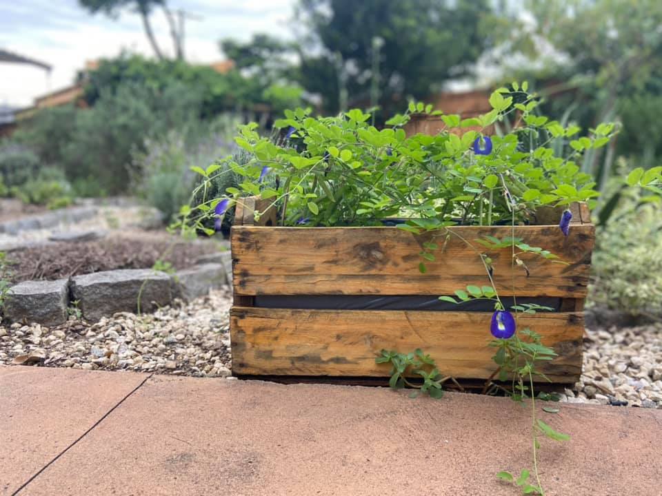 Melhores adubos orgânicos para sua horta