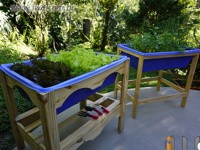 Guia completo de rega para hortas em vasos