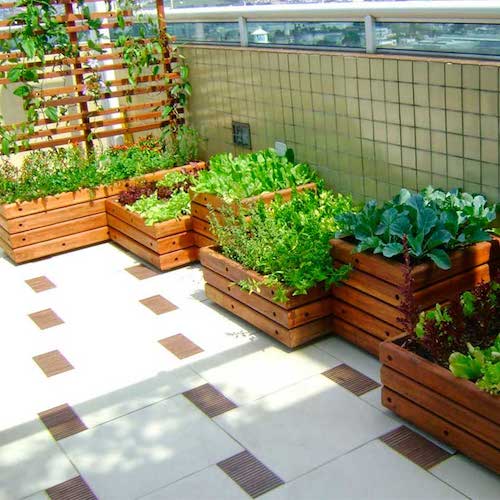 Colheita e armazenamento de hortaliças