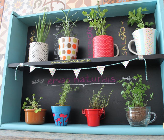 5 Ervas que Crescem Rápido em Vasos Pequenos