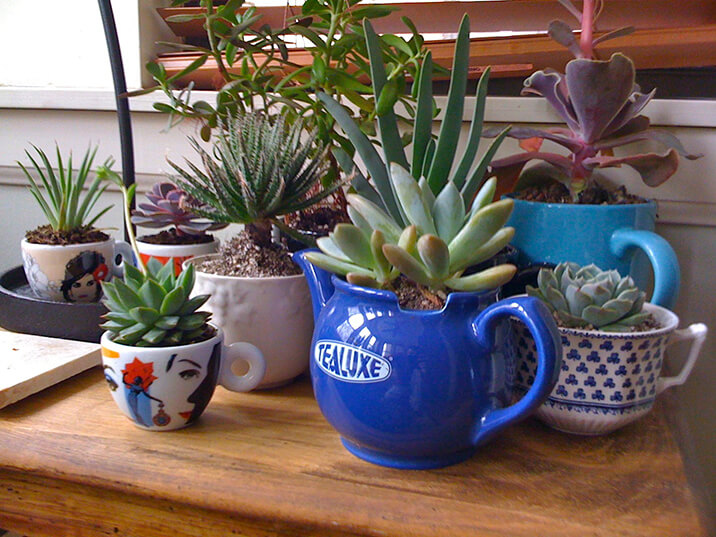 Como Escolher o Substrato Ideal para sua Mini Horta