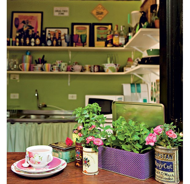 Guia Completo de Cuidados com Suculentas em Ambientes Internos