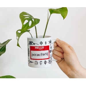 7 Plantas de Interior que Purificam o Ar da Sua Casa