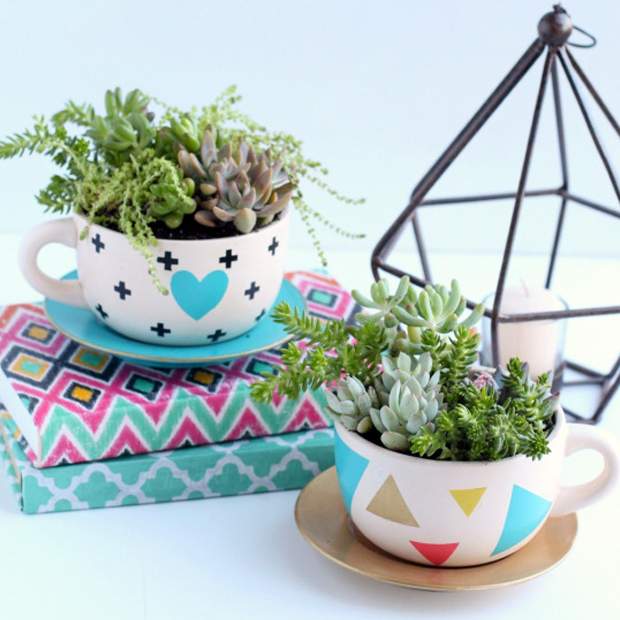 5 Ervas que Crescem Rápido em Vasos Pequenos