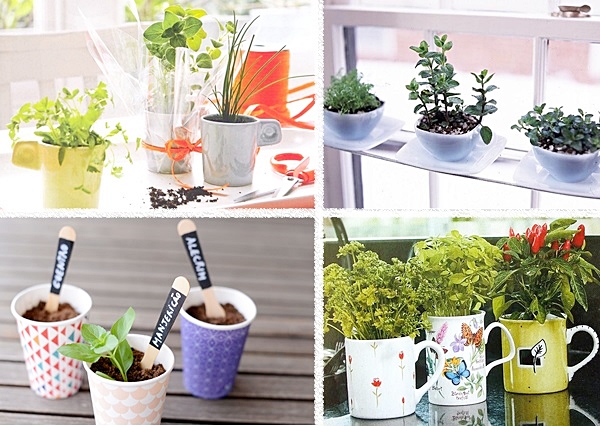 Como Escolher o Substrato Ideal para sua Mini Horta