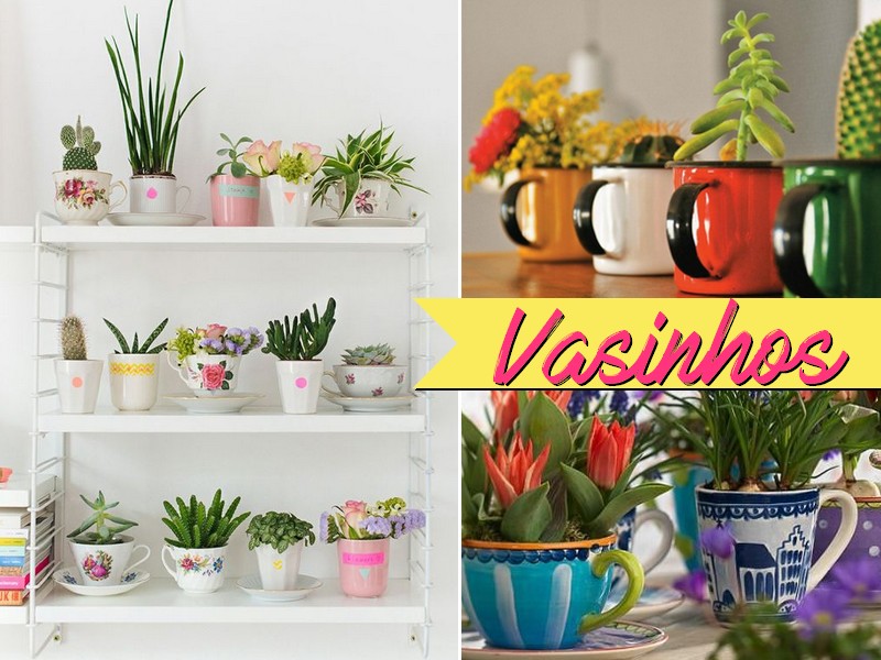 Guia Completo de Cuidados com Suculentas em Ambientes Internos