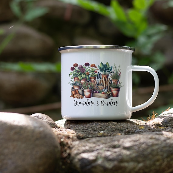 7 Plantas de Interior que Purificam o Ar da Sua Casa