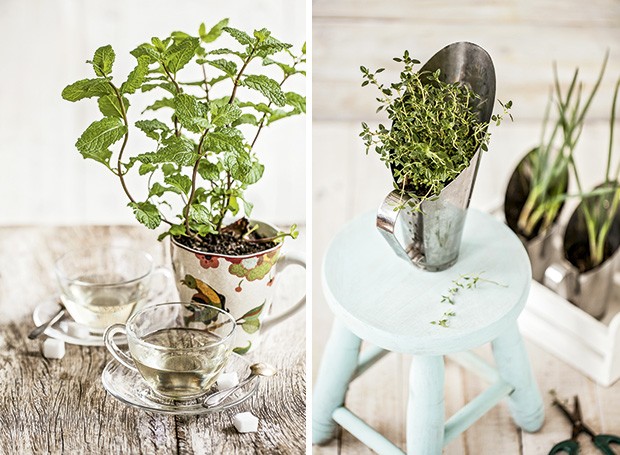 horta em canecas e xícaras