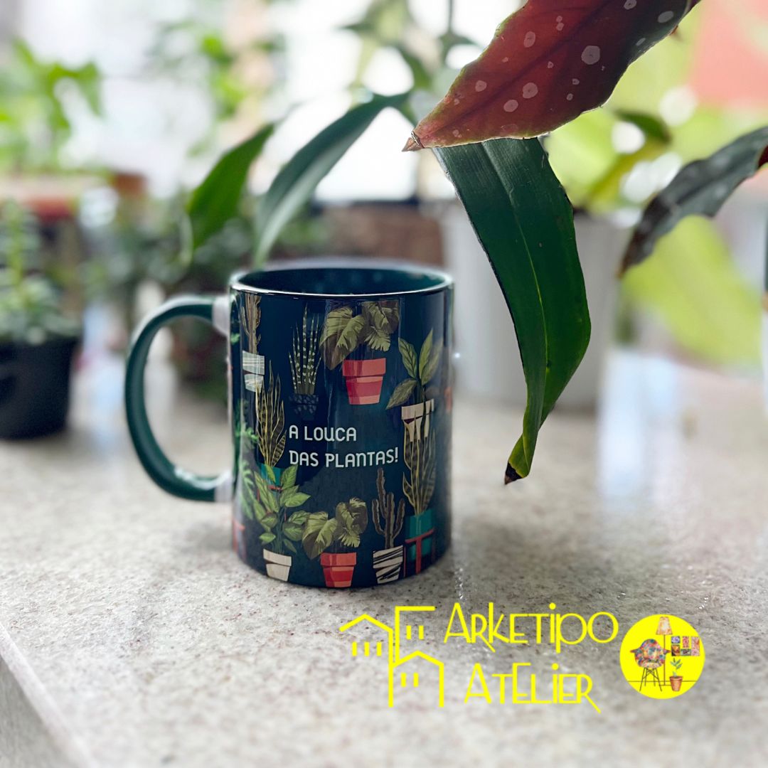 7 Plantas de Interior que Purificam o Ar da Sua Casa