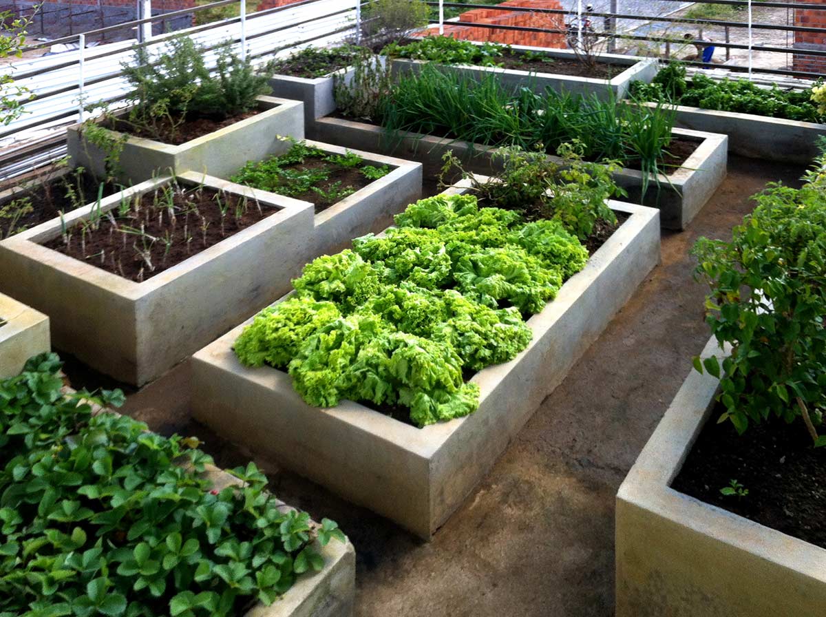 Benefícios da compostagem para hortas em condomínios