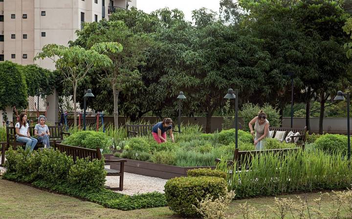 Exemplos de sucesso de hortas em condomínios pelo Brasil