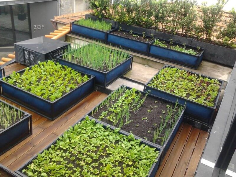 Benefícios da compostagem para hortas em condomínios