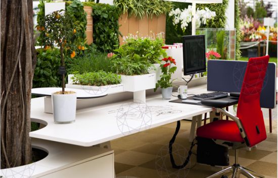 Bem-Estar e Produtividade
5. Horta Vertical no Escritório: Soluções Criativas para Pouco Espaço