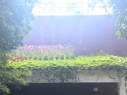 horta em sistema de sanduíche