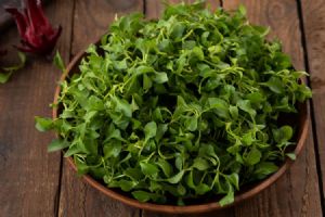 Como montar uma horta em telhado sanduíche