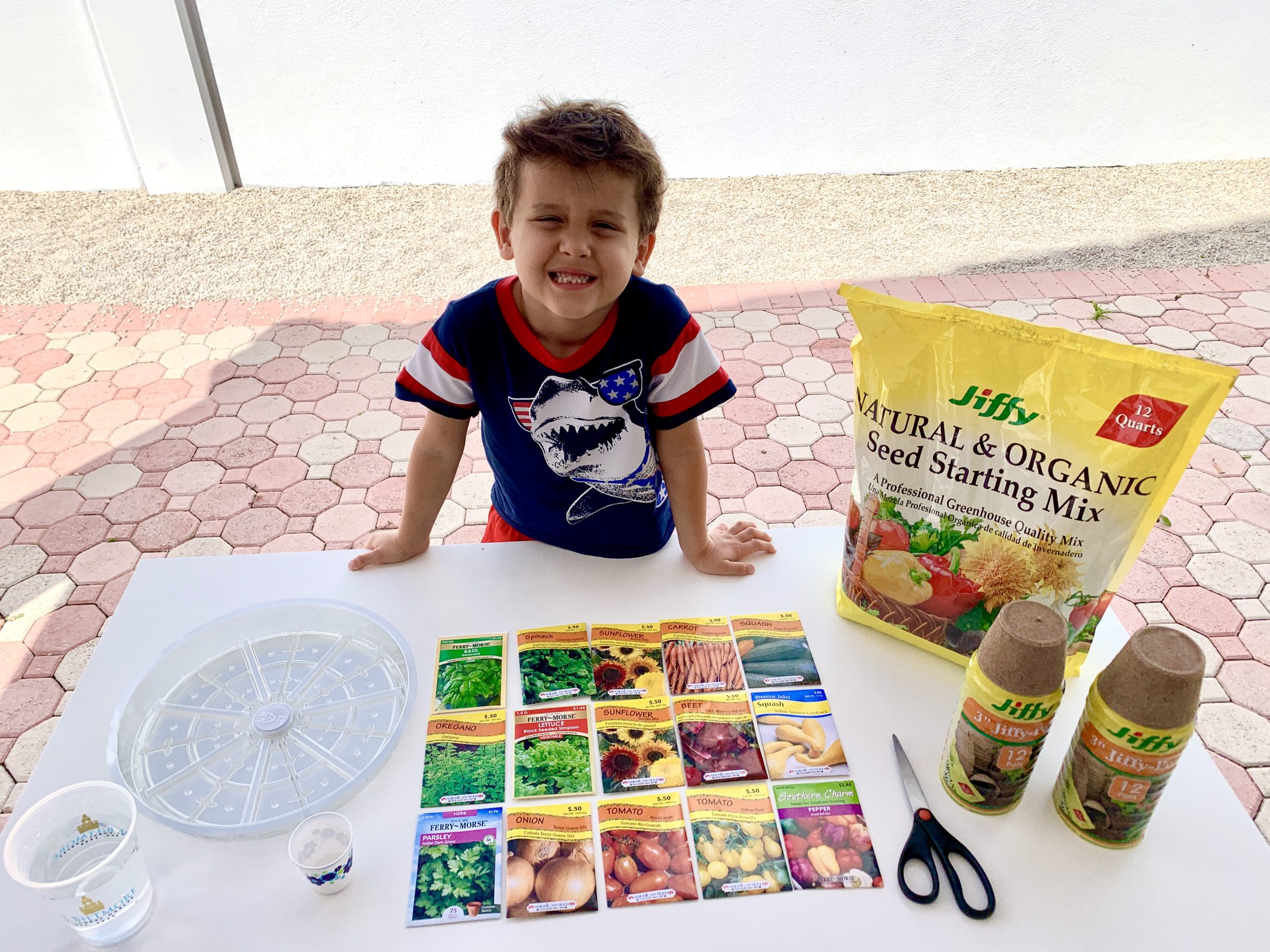 O ciclo de vida das plantas: uma lição para crianças