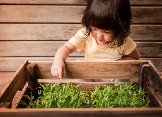 5 receitas fáceis com vegetais da horta infantil