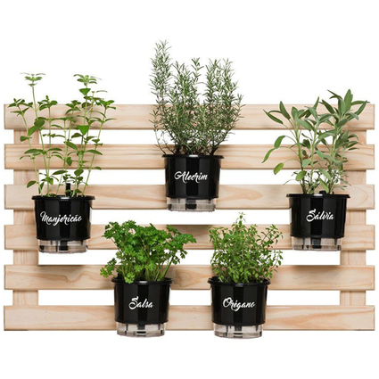 5 Ervas Aromáticas Essenciais para sua Horta Vertical