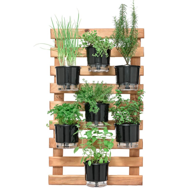 Como Escolher o Local Ideal para sua Horta Vertical