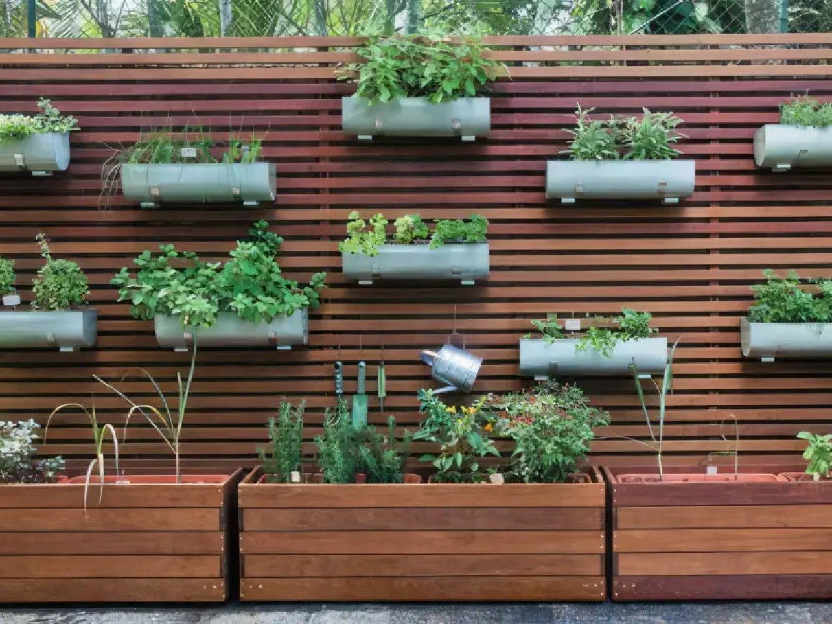 Guia Completo de Adubação para Temperos em Vasos