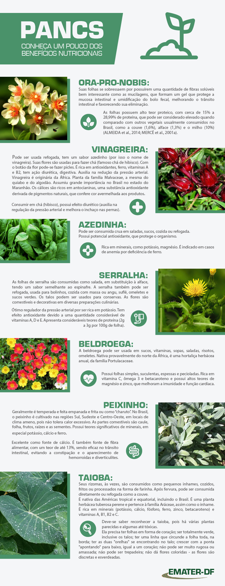 Receitas Incríveis com Ora-pro-nóbis