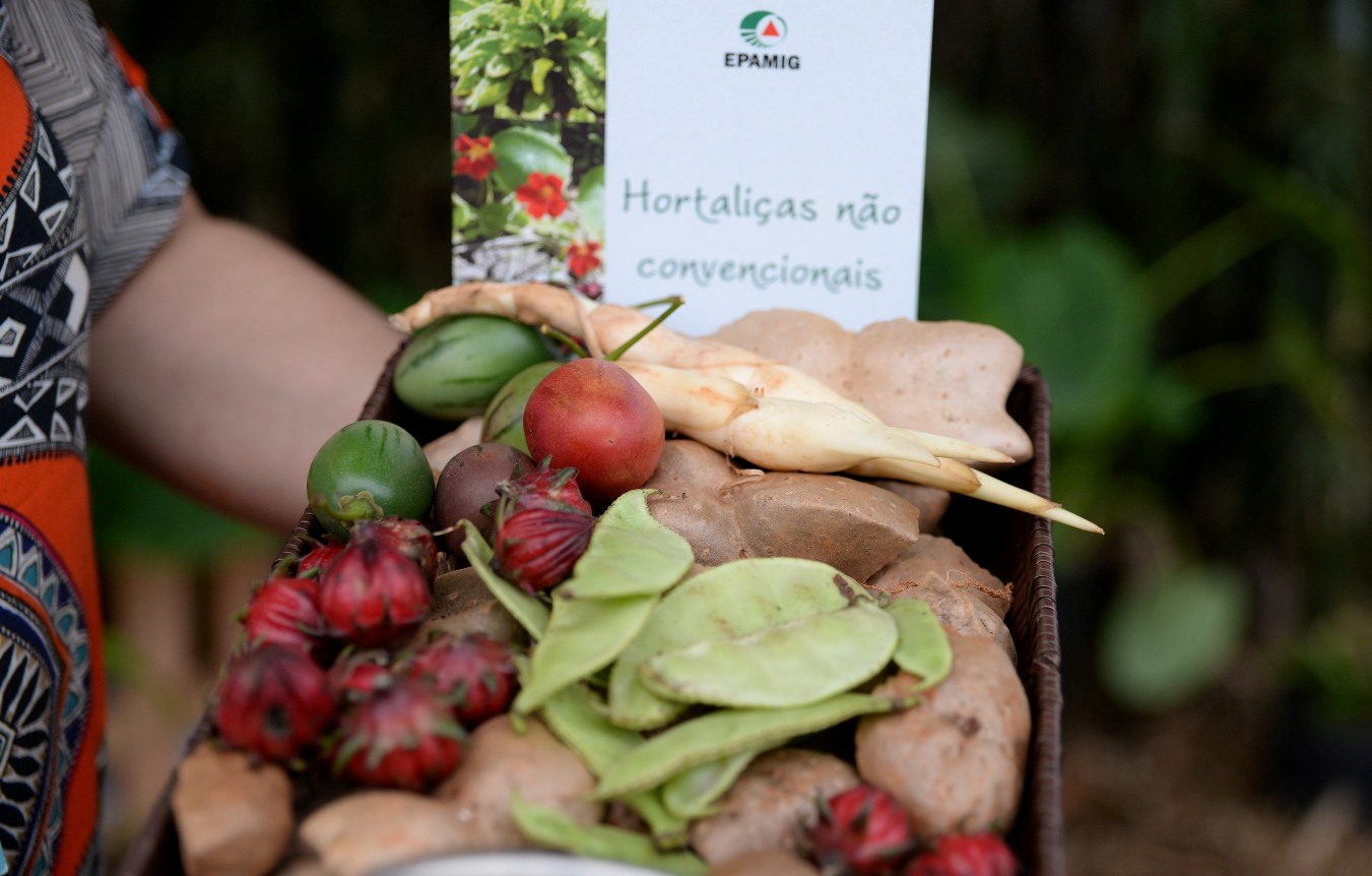 Peixinho-da-horta: O Sabor Surpreendente das PANCs