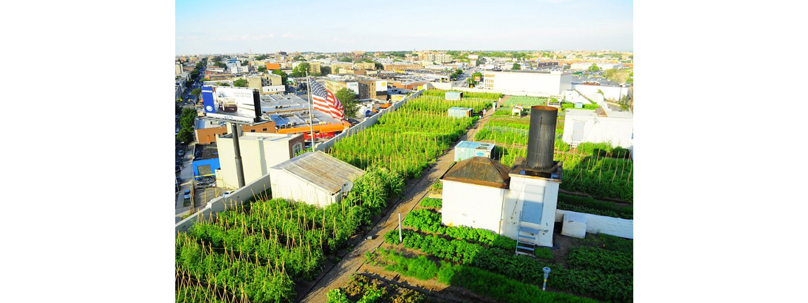 hortas em lajes de prédios