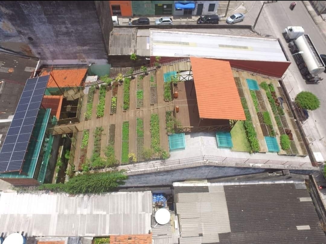 hortas em lajes de prédios