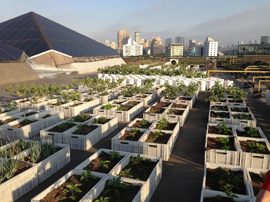 Como montar um sistema de irrigação eficiente para sua horta em laje