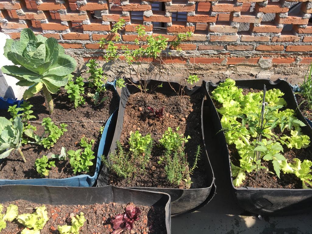 Guia completo de impermeabilização para hortas em lajes