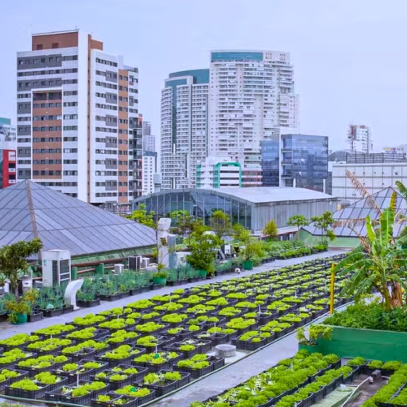 Benefícios da compostagem doméstica para condomínios