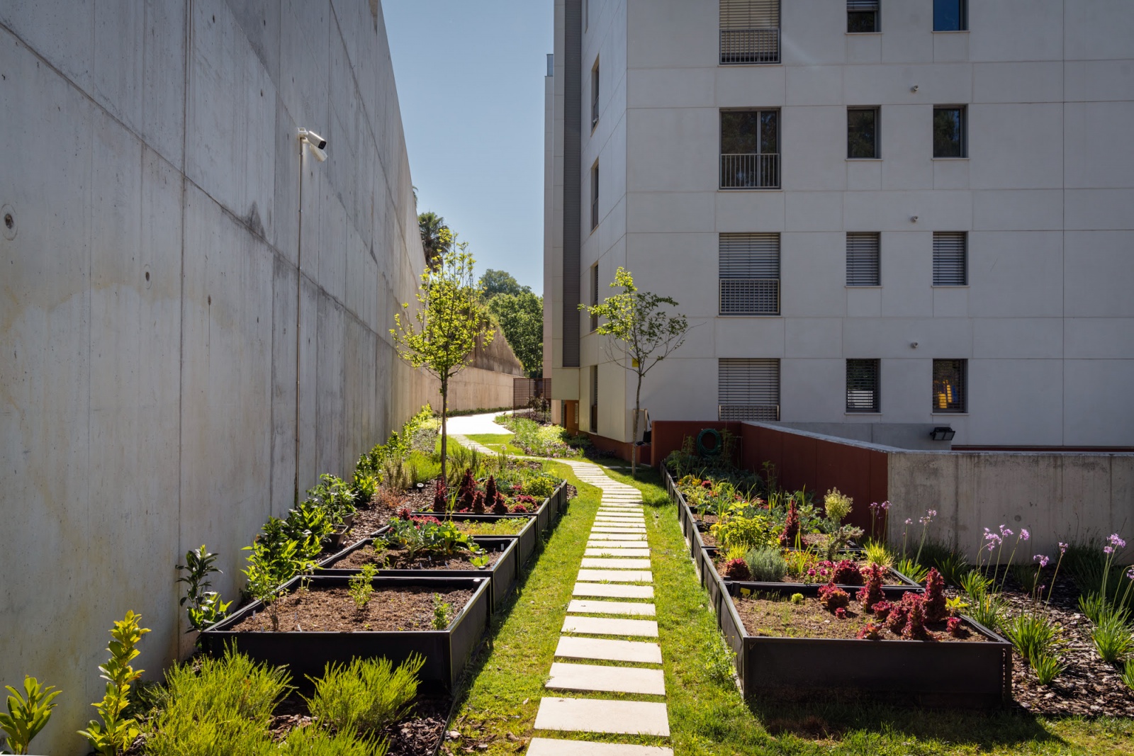 hortas em lajes de prédios