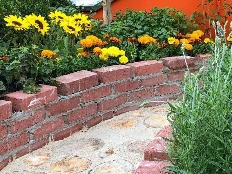 Como escolher as melhores plantas para sua horta na laje