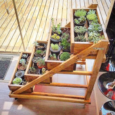 Como escolher a floreira ideal para cada tipo de planta