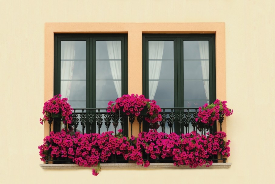 Como montar um jardim vertical na varanda