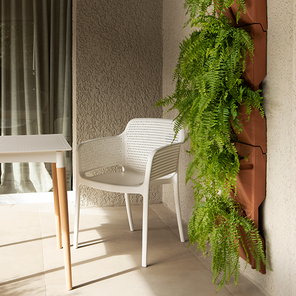 5 plantas fáceis de cuidar em apartamento