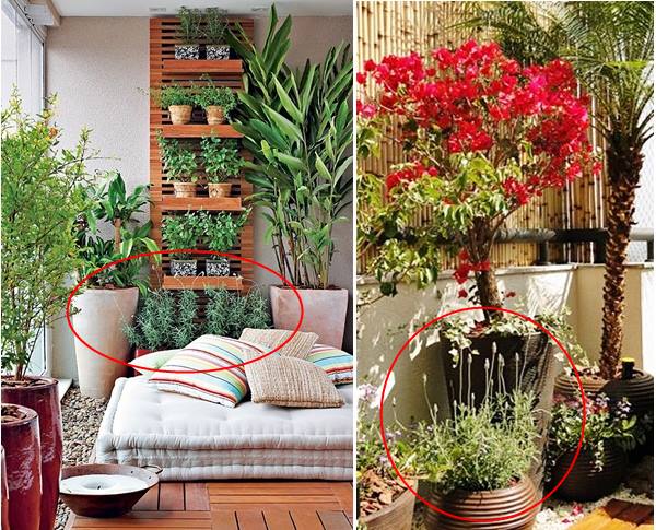 Materiais sustentáveis para seu jardim: Guia completo
